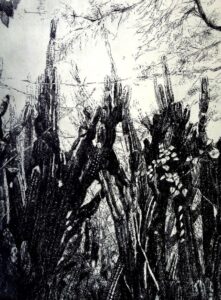 In de bosschen van het vijfde district (4) / ets Bert Kienjet (2018)